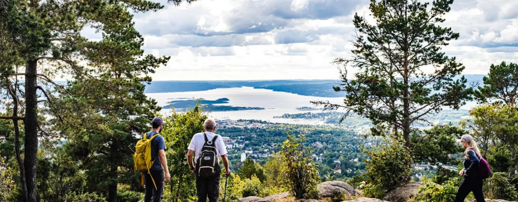 Top of Oslo hike with a view