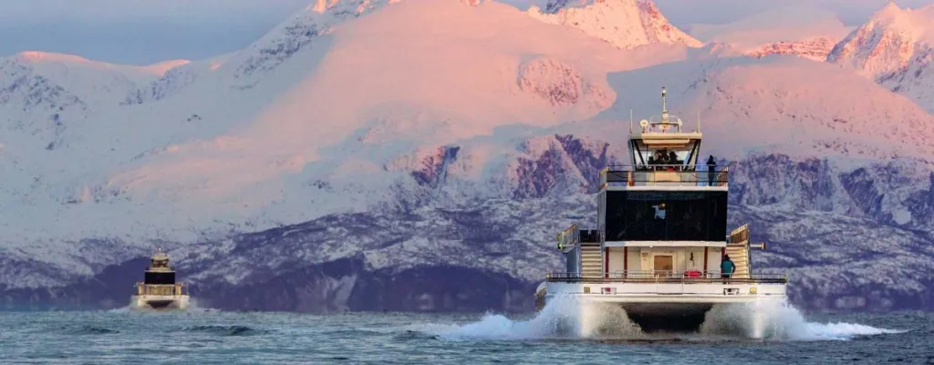 Silent Beiarfjord & Saltstraumen Cruise