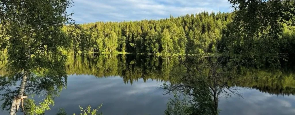 When in Norway: Refreshing hike in the forest ouside of Oslo