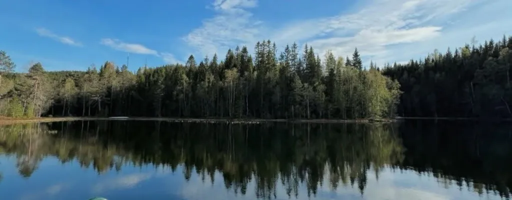 When in Norway: Refreshing hike in the forest ouside of Oslo