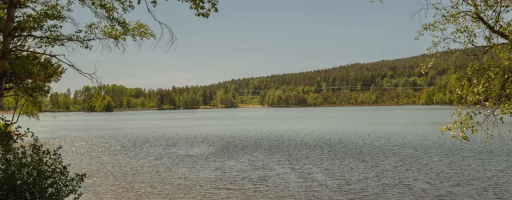 When in Norway: Refreshing hike in the forest ouside of Oslo
