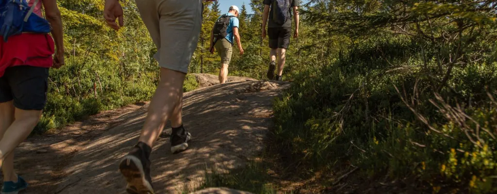 When in Norway: Refreshing hike in the forest ouside of Oslo