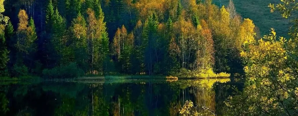 When in Norway: Refreshing hike in the forest ouside of Oslo