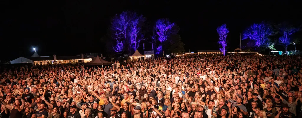 Rock The Night Festival