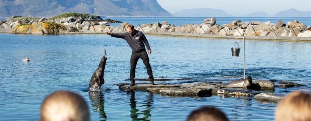 Aquarium and experiences in Ålesund 