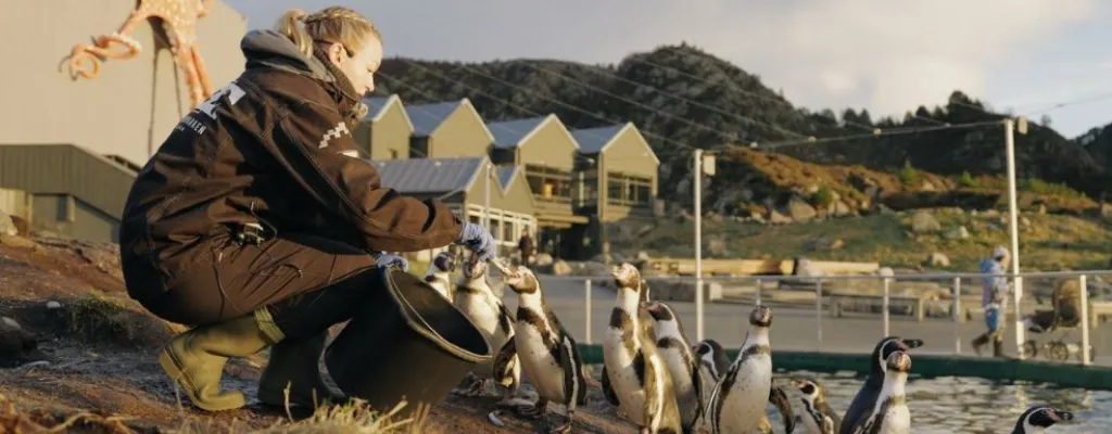 Aquarium and experiences in Ålesund 