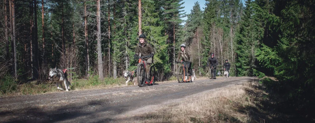 Dog scootering - a adventure awaits!