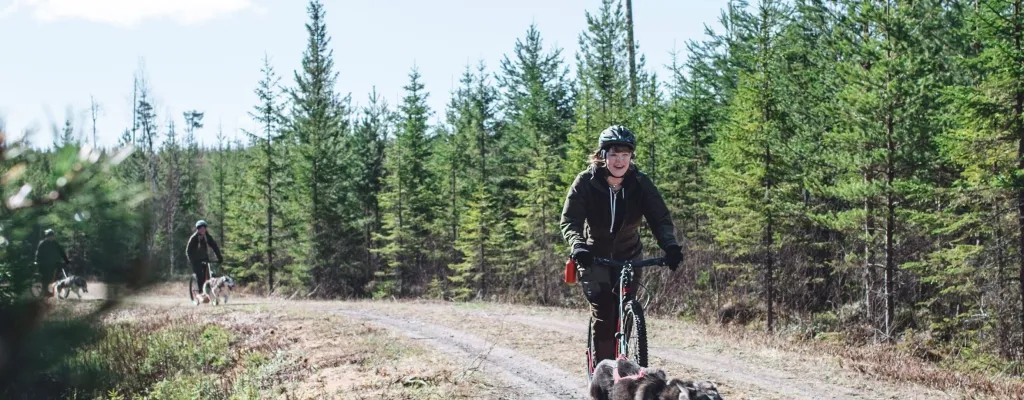 Dog scootering - a adventure awaits!