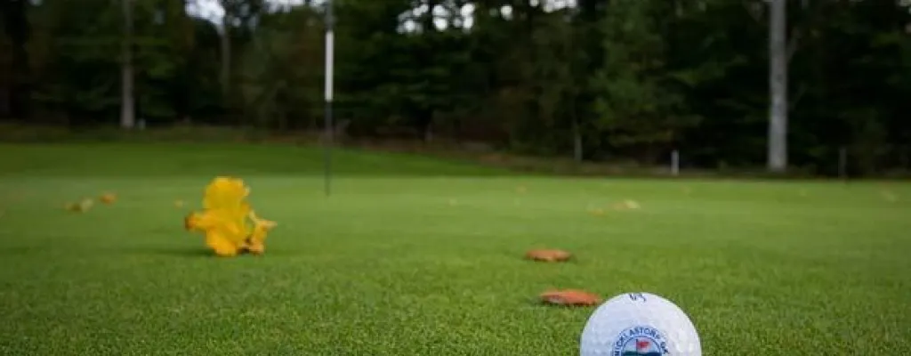 Nicklastorp Golf club