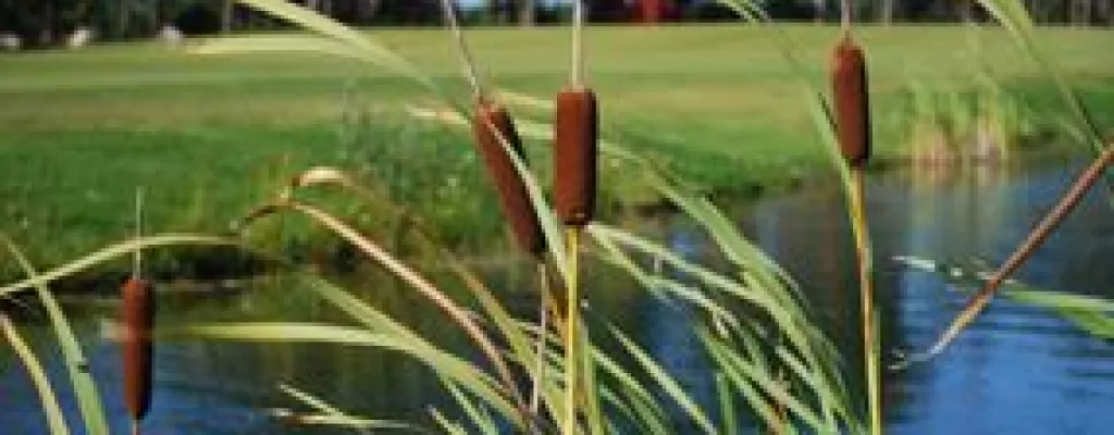 Kristianstad Golf Club Åhus East