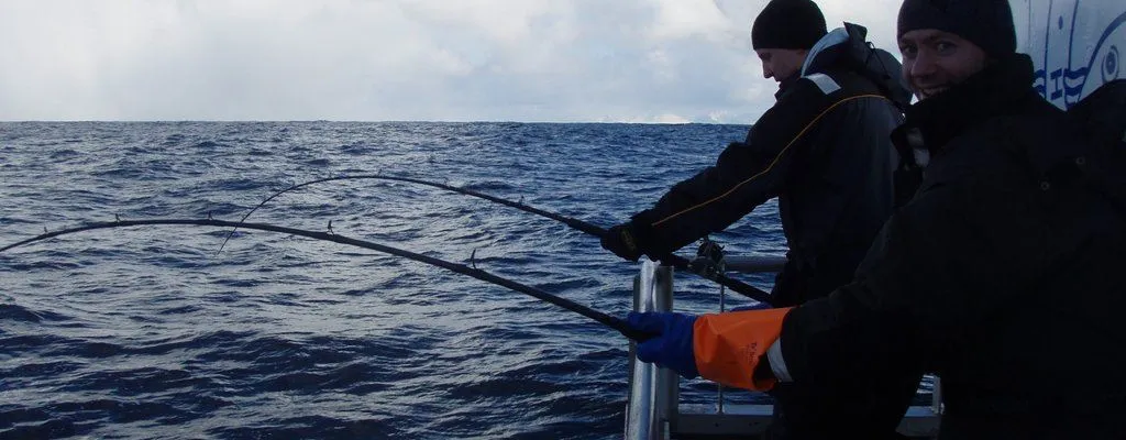 "Arctic - 3 Hours Fishing tour" by Boat in Tromsø