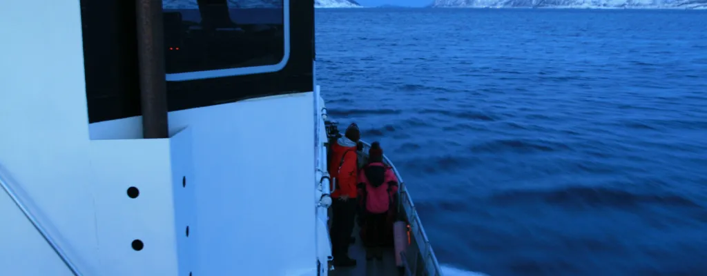 "Arctic - 3 Hours Fishing tour" by Boat in Tromsø