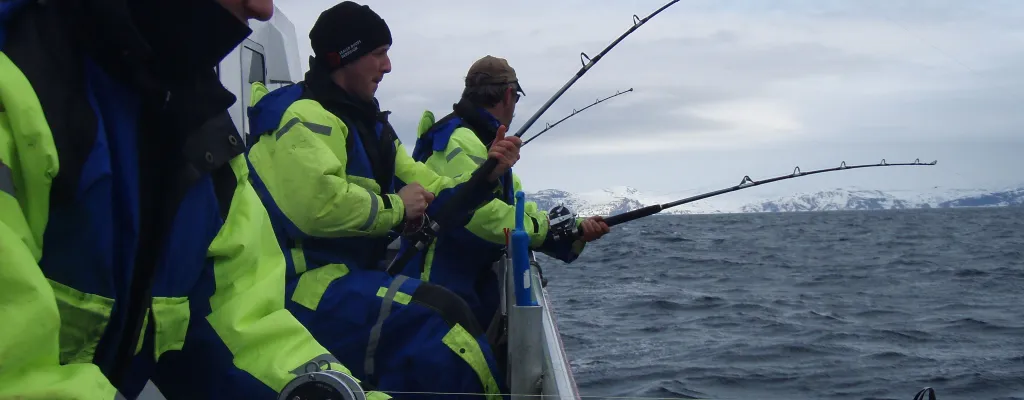 "Arctic - 3 Hours Fishing tour" by Boat in Tromsø