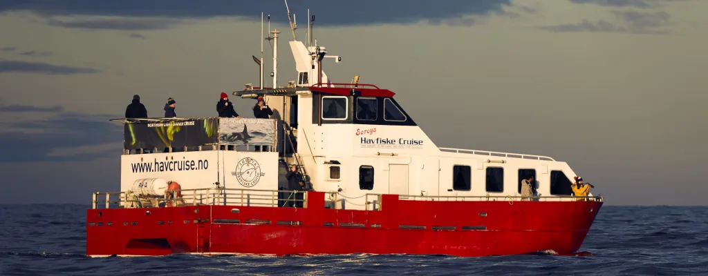 "Arctic - 3 Hours Fishing tour" by Boat in Tromsø
