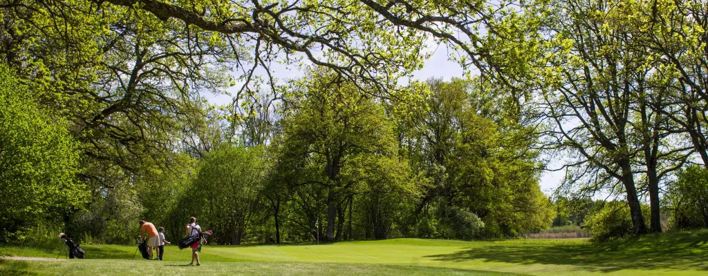 Ängsö Golf Club