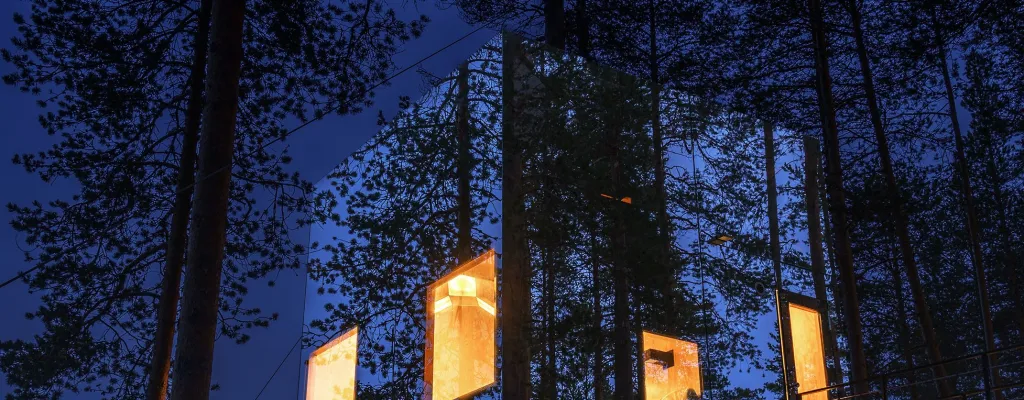 Stay in the treetops