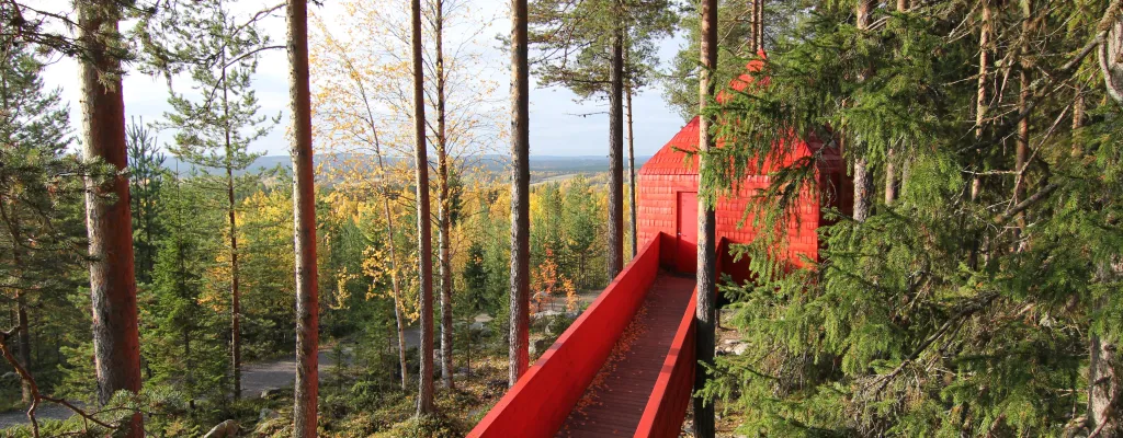 Stay in the treetops