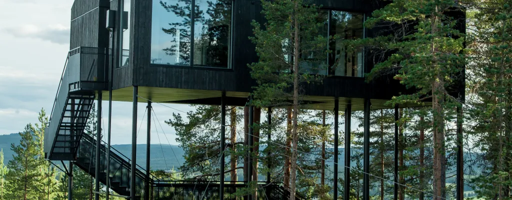 Stay in the treetops
