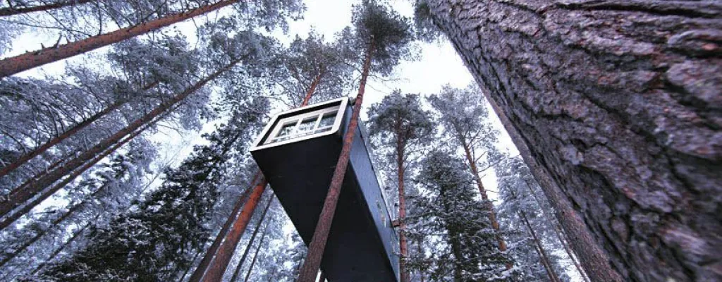 Stay in the treetops
