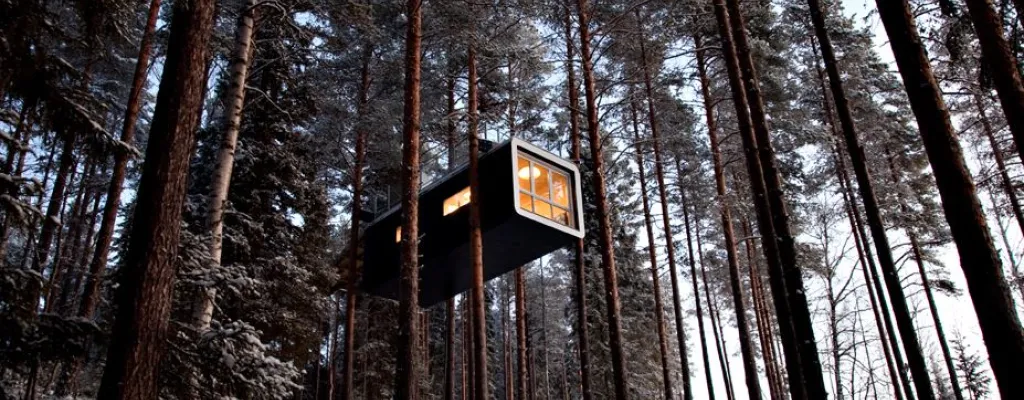 Stay in the treetops