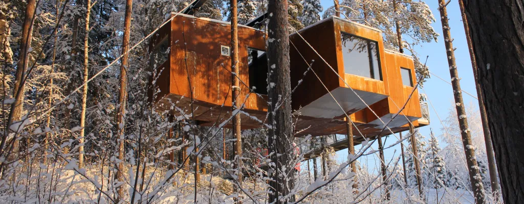 Stay in the treetops