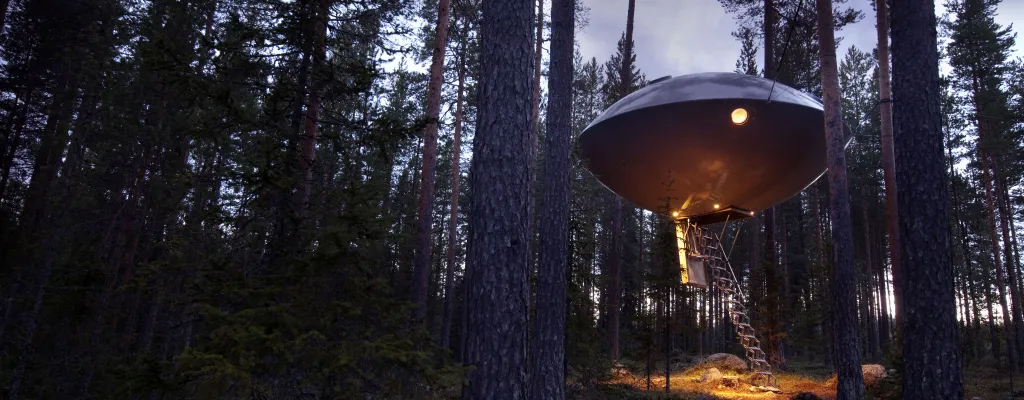 Stay in the treetops