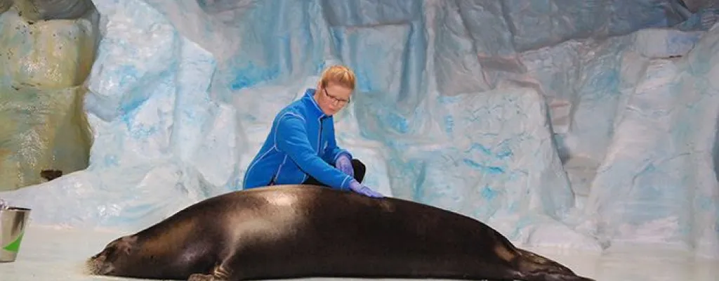 Polaria – Arctic Knowledge Experiences for the whole family