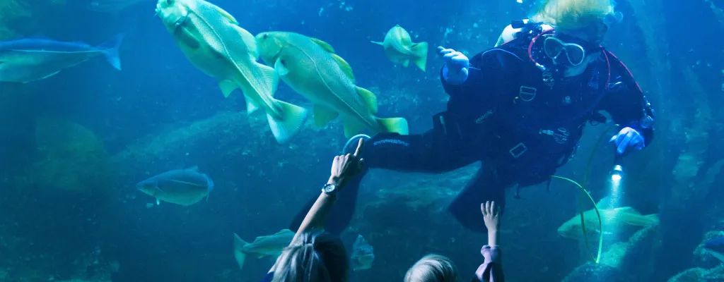 Universeum – seven floors with adventure for the whole family